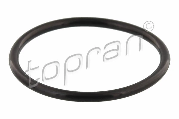 Seal, thermostat 116 418