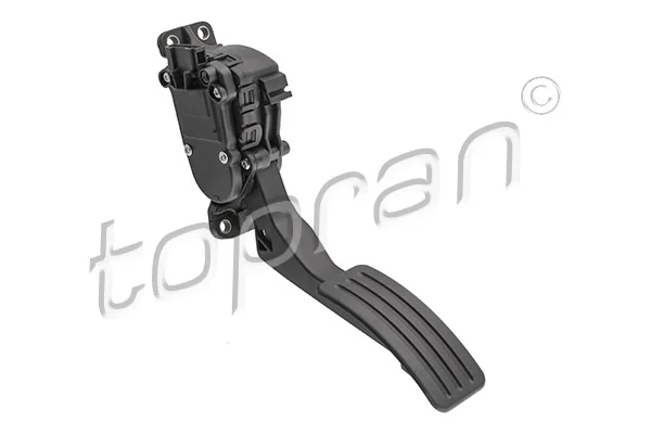 Accelerator Pedal 633 702