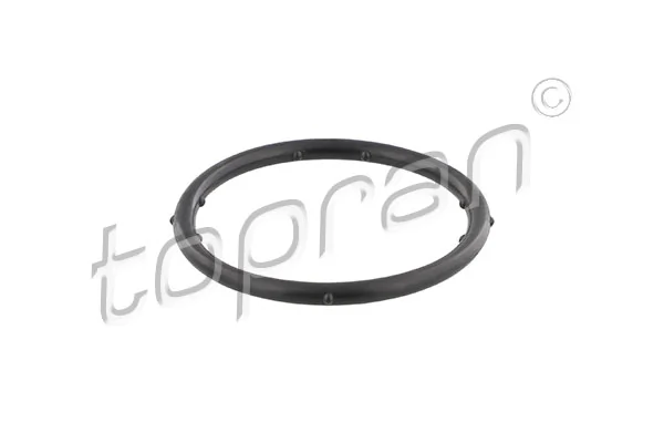 Gasket, coolant flange 100 721