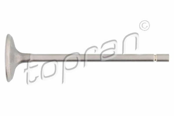 Intake Valve 700 653