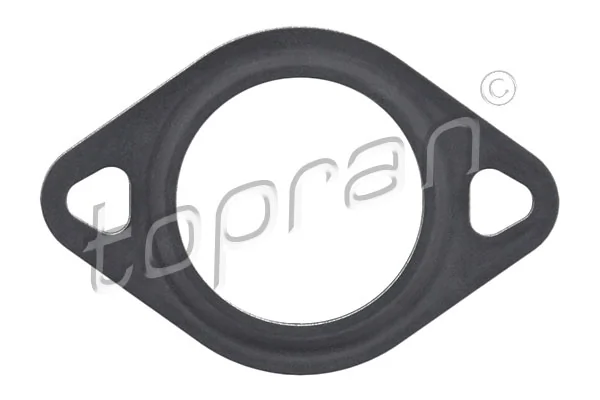 Gasket, EGR valve 115 260
