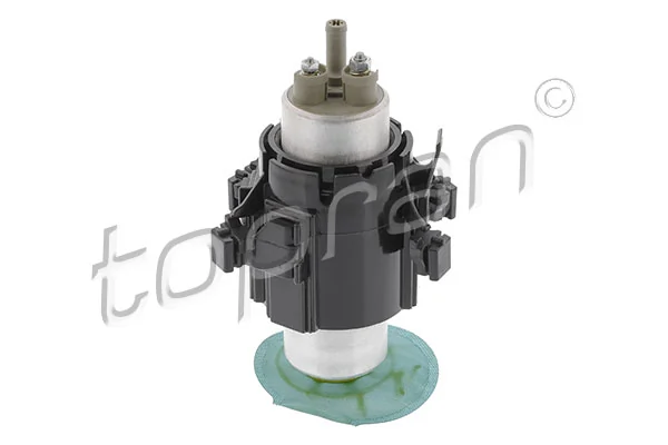 Fuel Pump 500 817