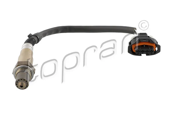 Oxygen Sensor 207 060