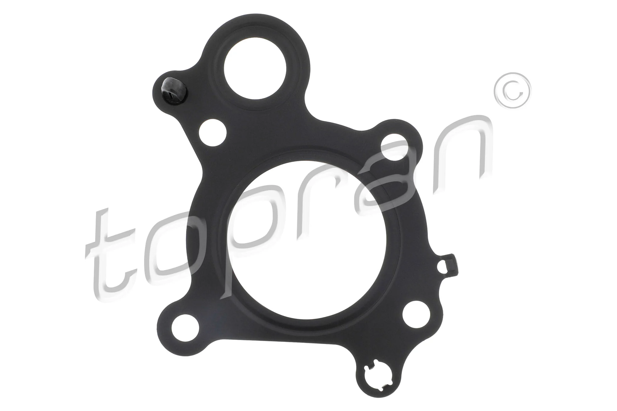 Gasket, EGR valve 411 267