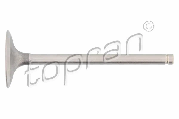 Intake Valve 700 655