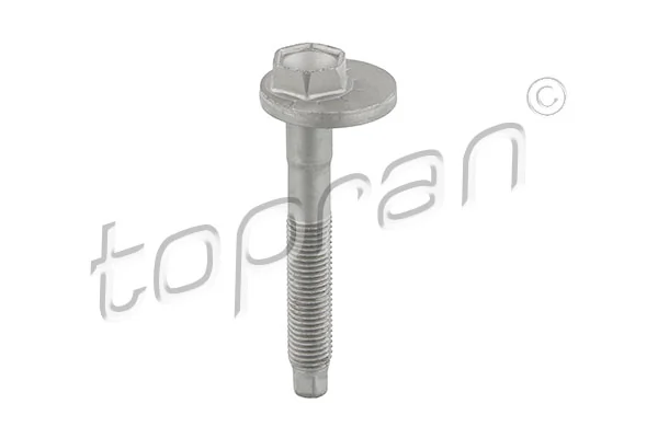Camber Correction Screw 119 040