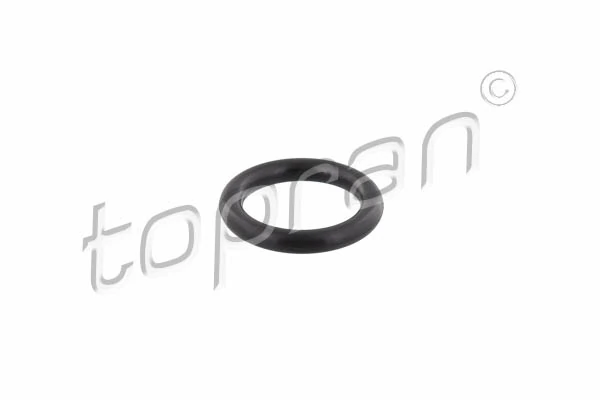Gasket, intake manifold 304 041
