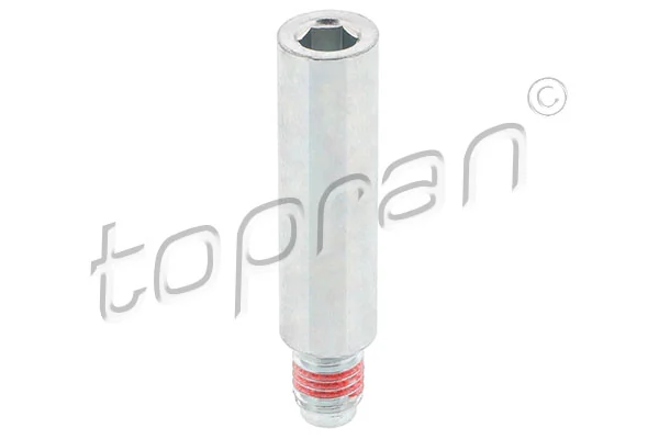 Bolt, brake caliper 110 713