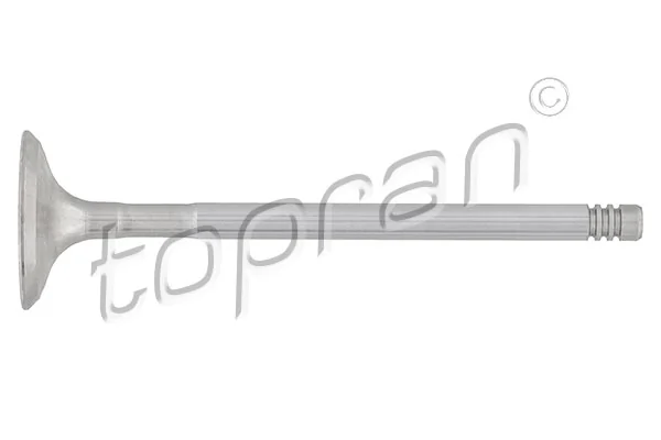 Exhaust Valve 501 420