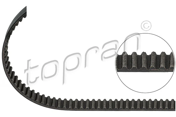 Timing Belt 205 843