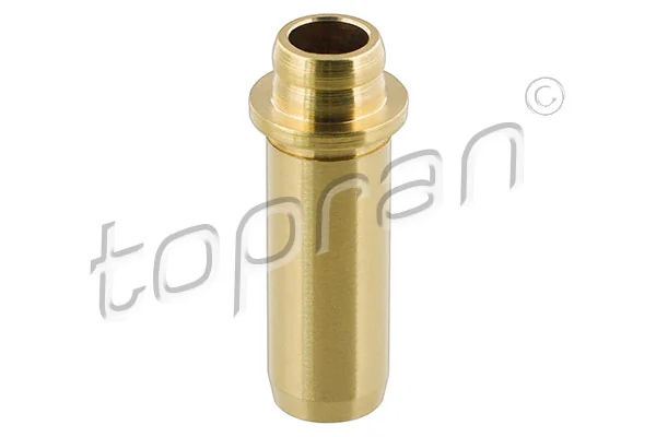 Valve Guide 100 541
