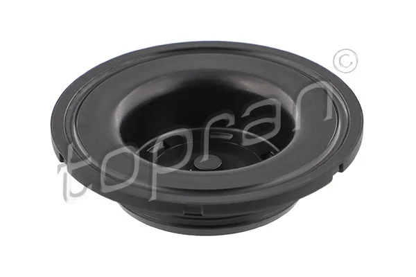 Gasket, timing case cover 119 023