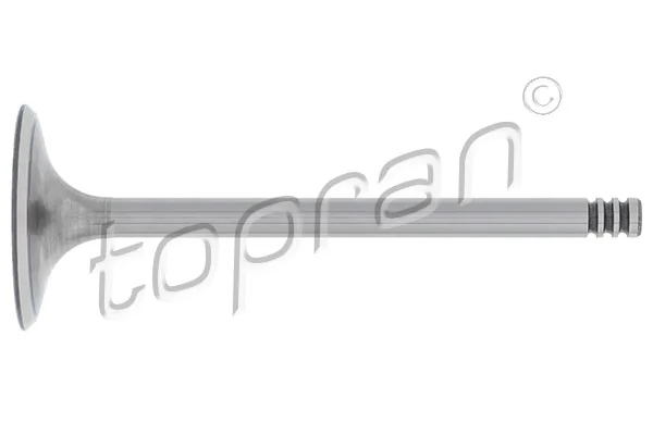 Intake Valve 107 554