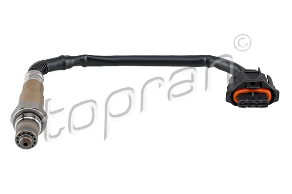Oxygen Sensor 207 431