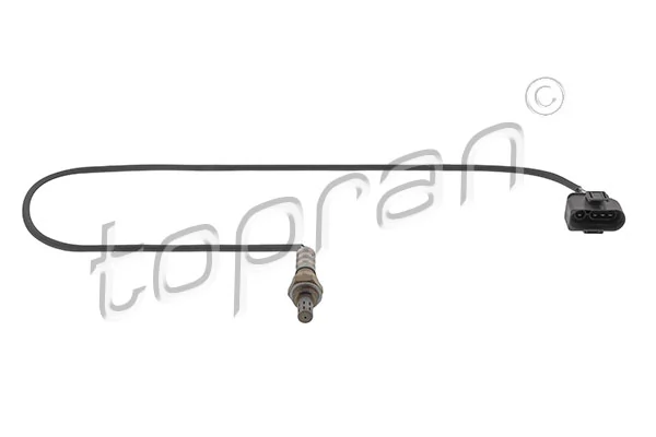 Oxygen Sensor 110 577