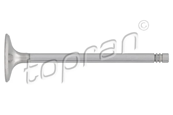 Intake Valve 205 156