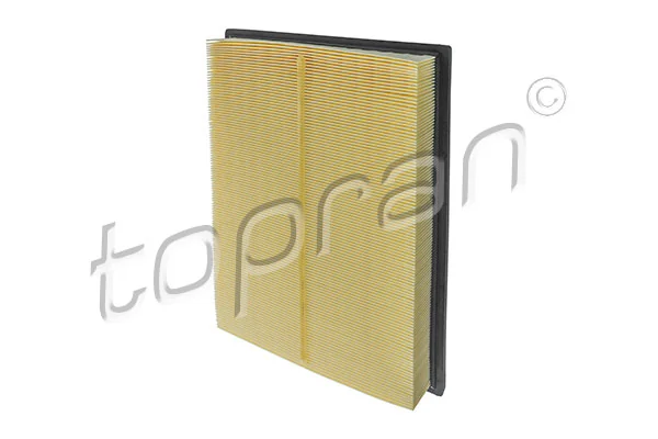 Air Filter 620 876