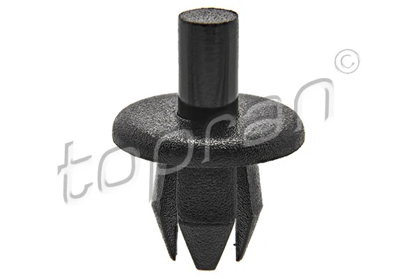 Rivet 205 797
