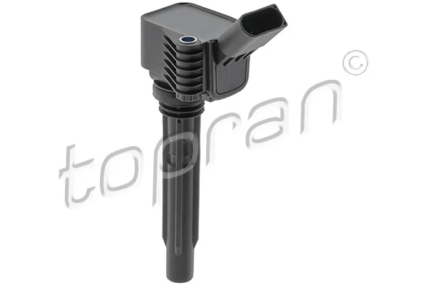 Ignition Coil 119 883