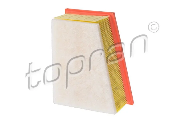 Air Filter 207 019