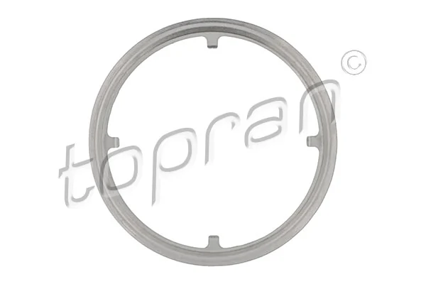 Gasket, exhaust pipe 305 234