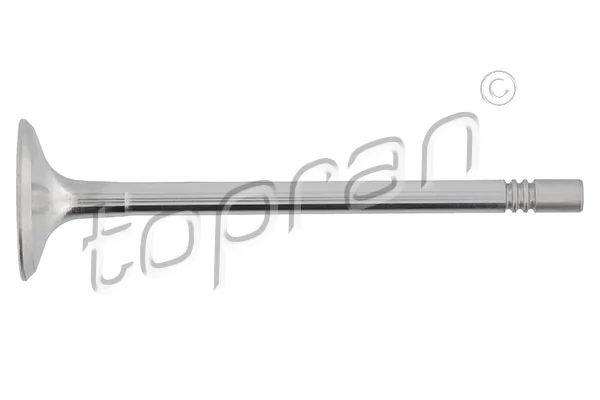 Intake Valve 111 597