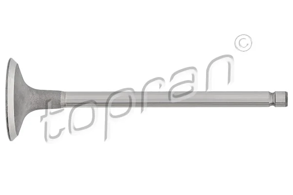 Intake Valve 721 561