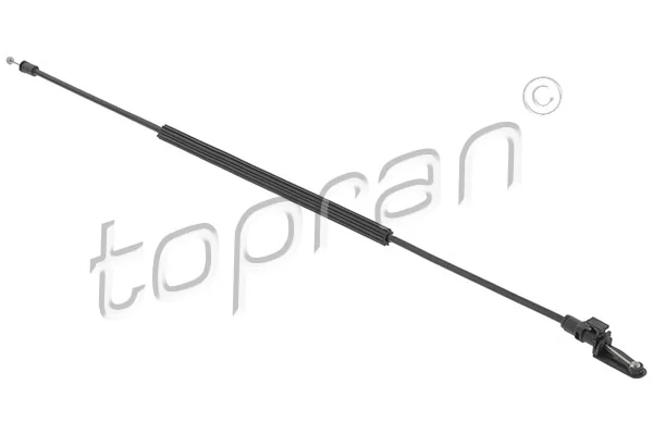 Bonnet Cable 119 432