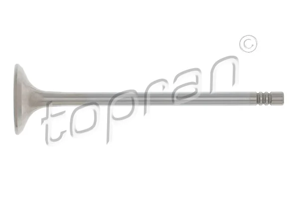 Exhaust Valve 205 579
