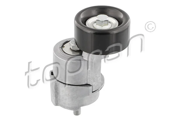 Belt Tensioner, V-ribbed belt 821 843