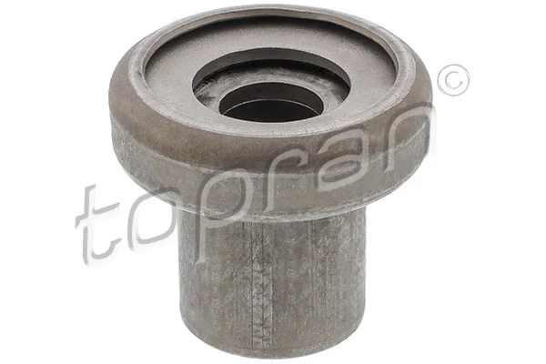 Mounting, control/trailing arm 103 341