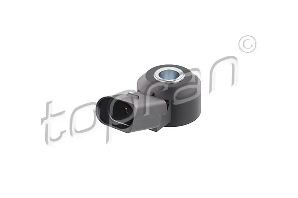 Knock Sensor 110 661