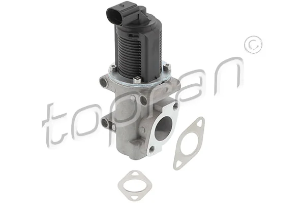 EGR Valve 601 581