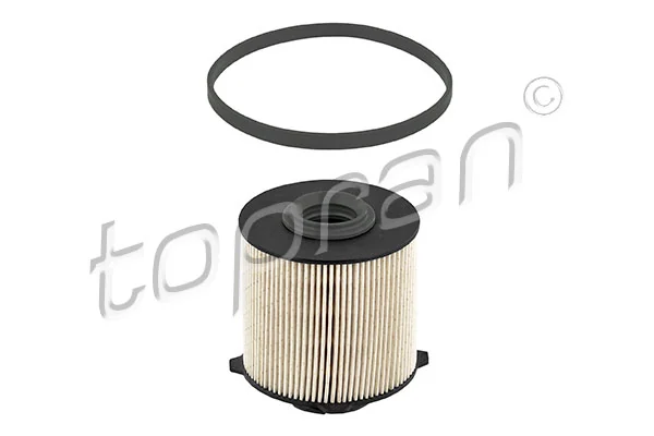 Fuel Filter 207 725
