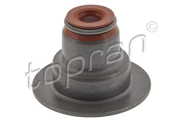 Seal Ring, valve stem 207 459