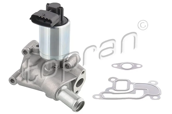 EGR Valve 207 096