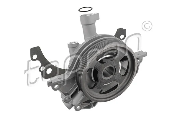Oil Pump 304 790