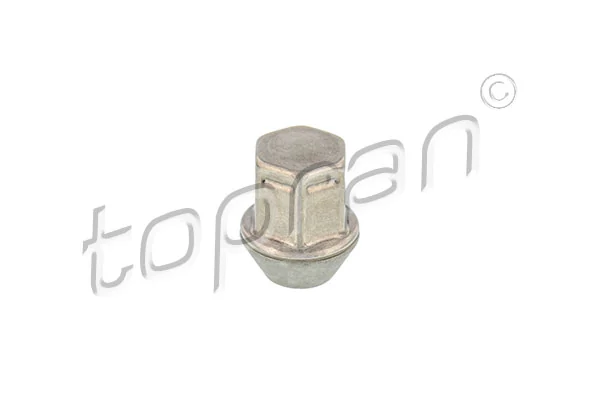 Wheel Nut 304 595