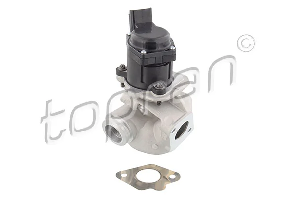 EGR Valve 302 690