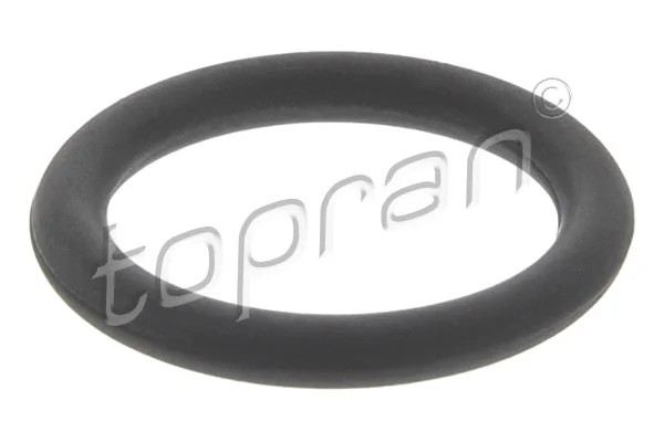 Seal Ring 120 007