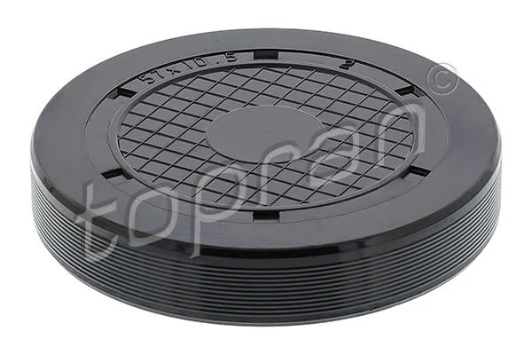 Plug, rocker arm shaft mounting bore 700 143