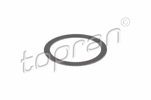 Gasket, exhaust pipe 205 643