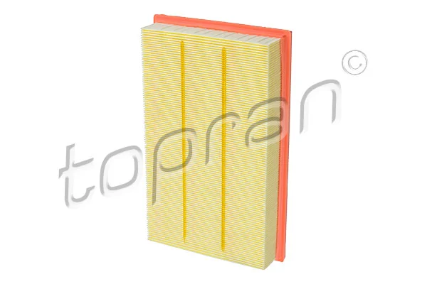 Air Filter 117 450