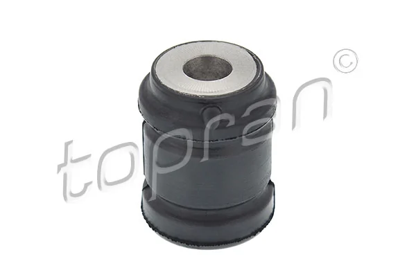 Mounting, control/trailing arm 200 491