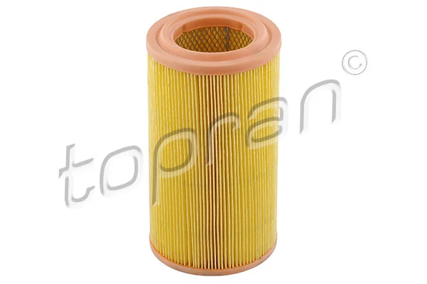 Air Filter 720 971
