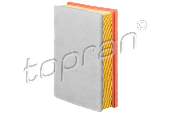 Air Filter 208 024