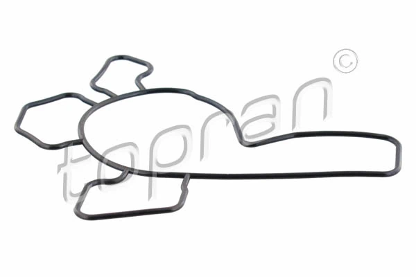 Gasket, water pump 205 932