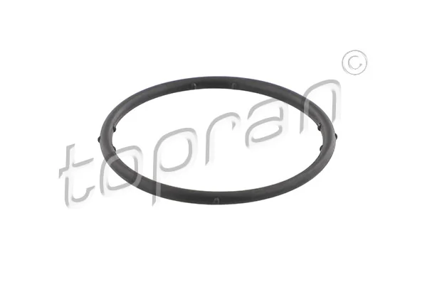Gasket, coolant flange 100 722