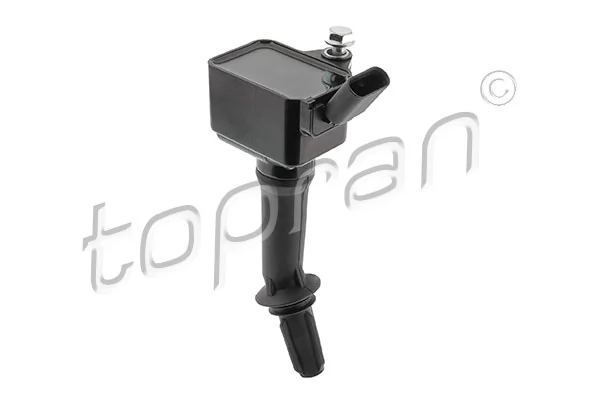 Ignition Coil 209 286