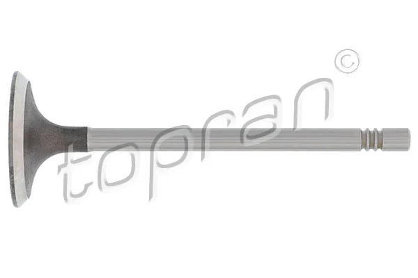 Intake Valve 110 195